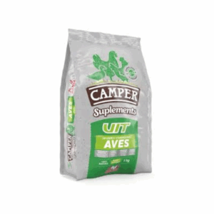 Camper Vit
