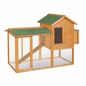 Caseta gallinas Dublín