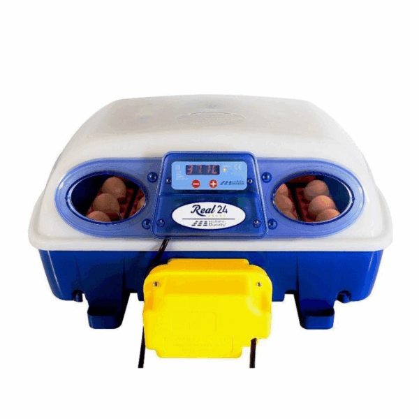 Incubadora automática Real 12