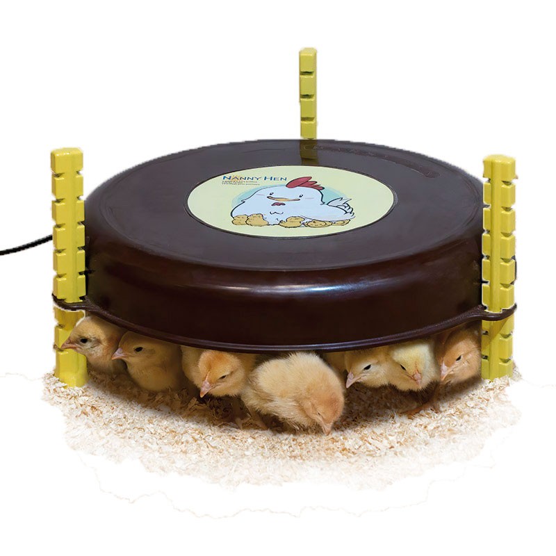 Calefactor pollitos Nanny Hen 18w