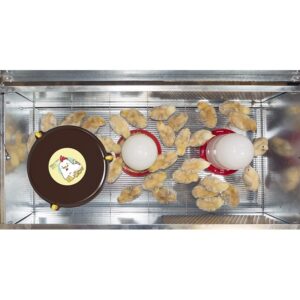 Criadora "Baby Park" + Calefactor "Nanny Hen"