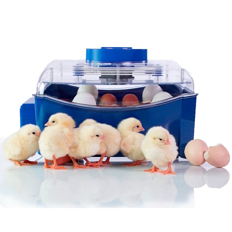 Incubadora Automática "Lumia 16" - Imagen 2