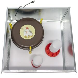 Kit Iniciación pollitos 1ª Edad